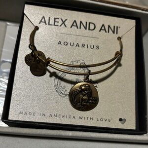 Alex and Ani Aquarius Bangle